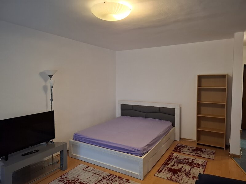 Studio spatios - 43 mp - Lacul Tei, Inginerilor Tei proprietar