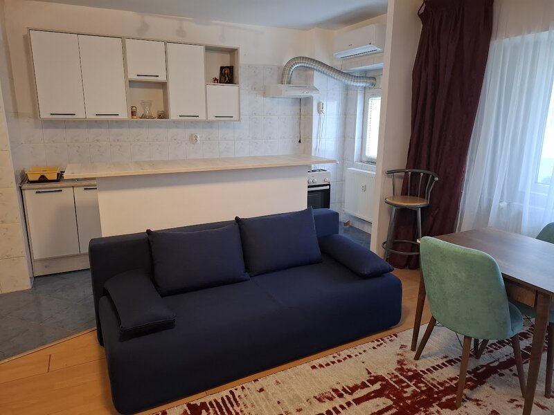 Studio spatios - 43 mp - Lacul Tei, Inginerilor Tei proprietar